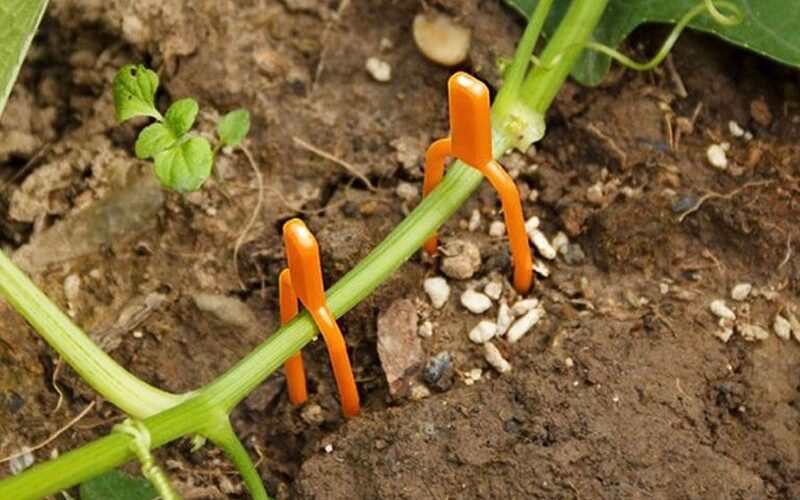 H5af9d82d3ff1489a80b569df8380cdd6d